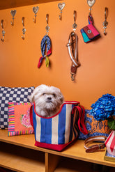 Borsa per Cane Blu X Lisa Corti - Accessori per Animali Personalizzati | My Style Bags