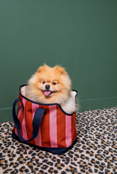 Borsa per Cane Rosso X Lisa Corti - lc-rosso | My Style Bags