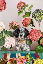 Collare per Cane Senape Large X Lisa Corti - Accessori per Animali Personalizzati | My Style Bags