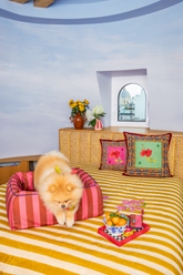 Cuccia per Cani Medium Ruggine X Lisa Corti - Cucce Personalizzate | My Style Bags