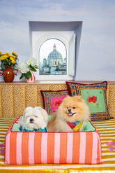 Cuccia per Cani Medium Rosso X Lisa Corti - Accessori per Animali Personalizzati | My Style Bags