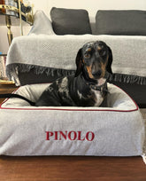 Cuccia per Cani Piccola Arancione - Arancione | My Style Bags