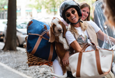 Cosa visitare 3 giorni a Firenze | My Style Bags